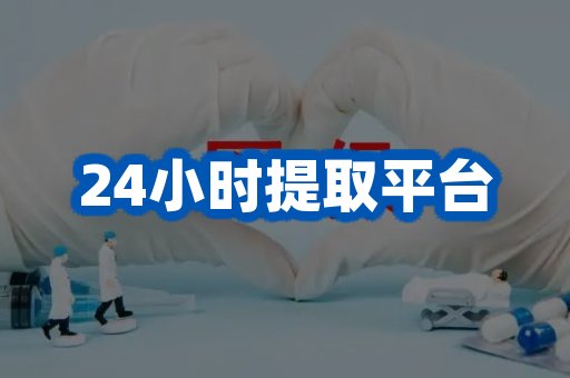 24小时提取平台