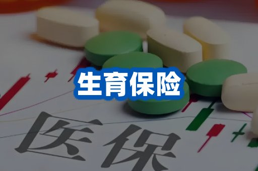 生育保险案例